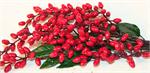 Berry Sprays