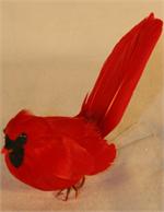 Fat Cardinal 4.5 inch 